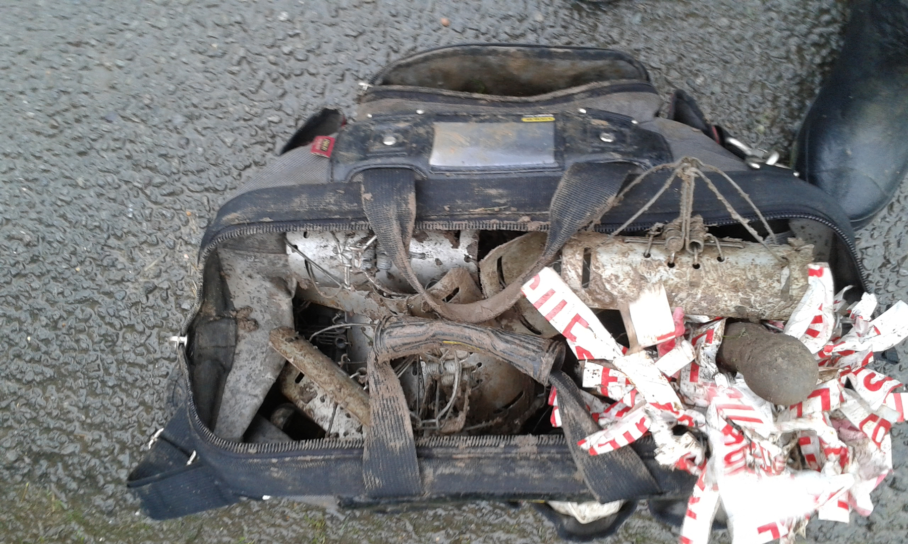 mole control lincoln uk