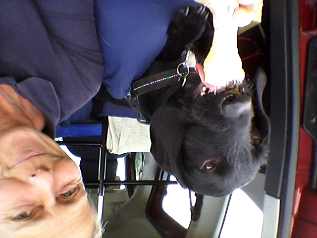 michelle cassidy pest control lincoln