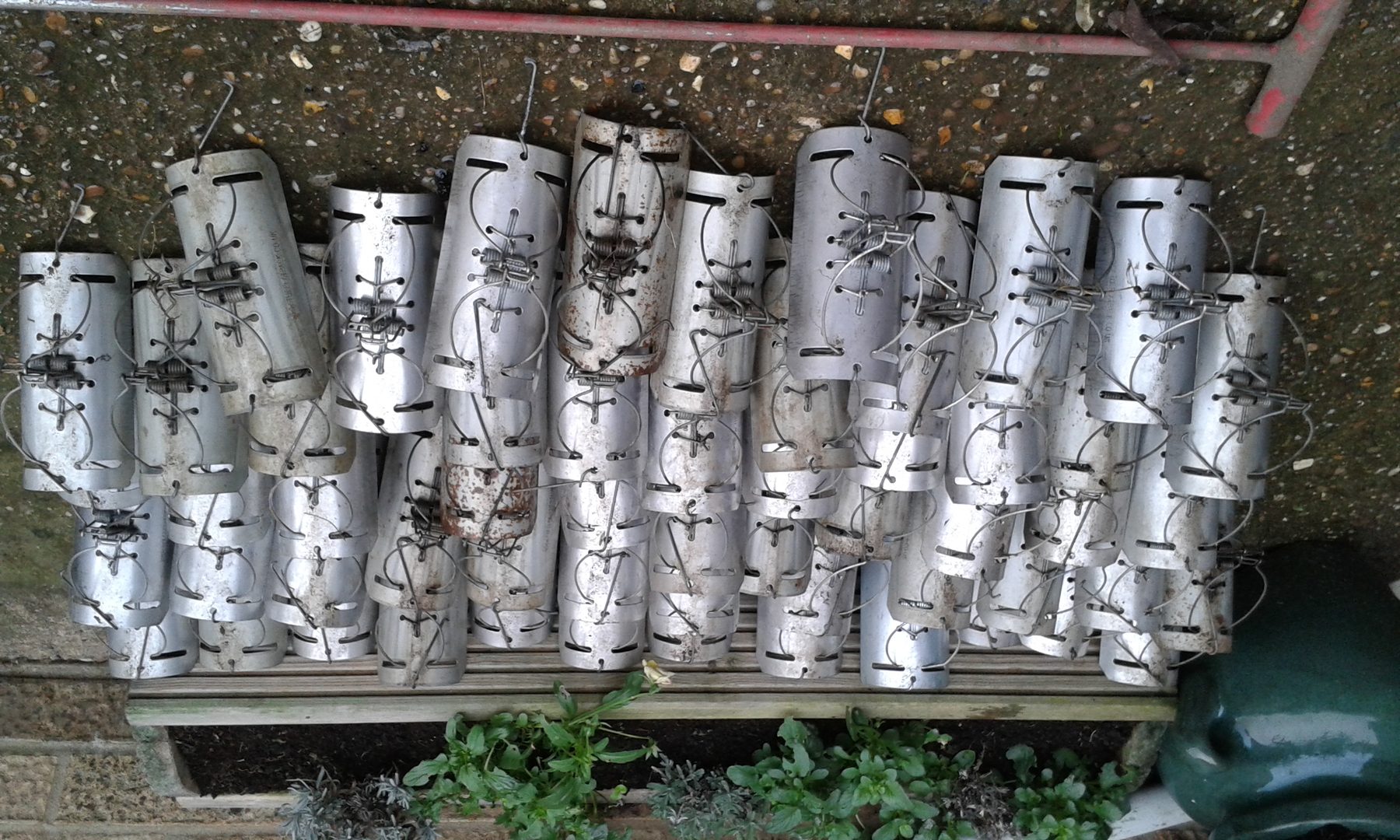 mole control lincoln uk