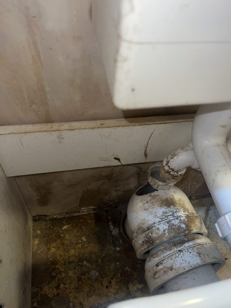 Inspection beneath a kitchen sink showing a poorly sealed waste pipe that could allow rats to enter a property from the sewer system.