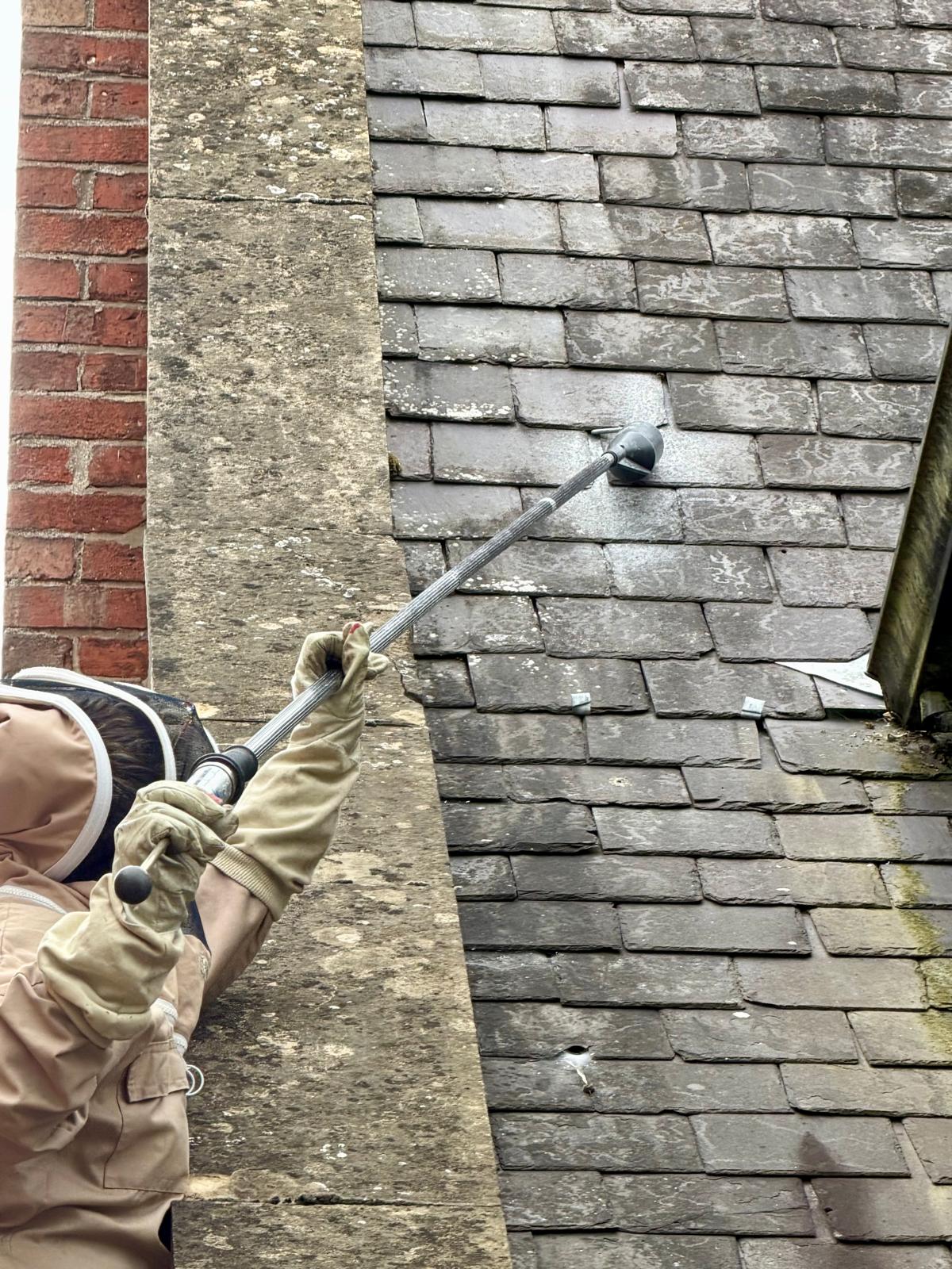 Queen Bee Pest Management treating wasps entering beneath roof tiles in Stow Lincolnshire
